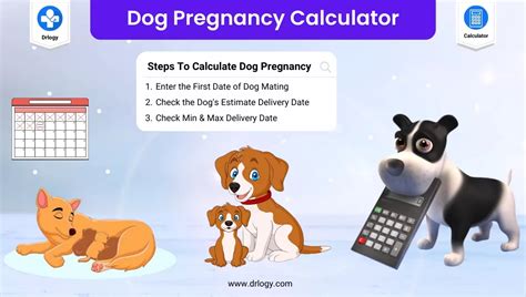 dog due date calculator|Best Dog Pregnancy Calculator 